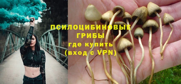 прущая мука Грязовец