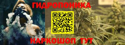прущие грибы Краснокаменск