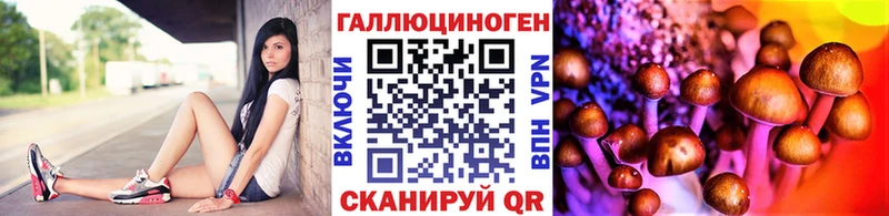 даркнет клад Россошь Псилоцибиновые грибы мухоморы