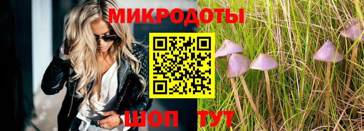 Галлюциногенные грибы Magic Shrooms  где продают   Россошь  Вход с VPN 