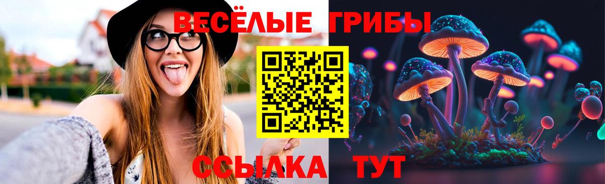 Псилоцибиновые грибы прущие грибы Россошь